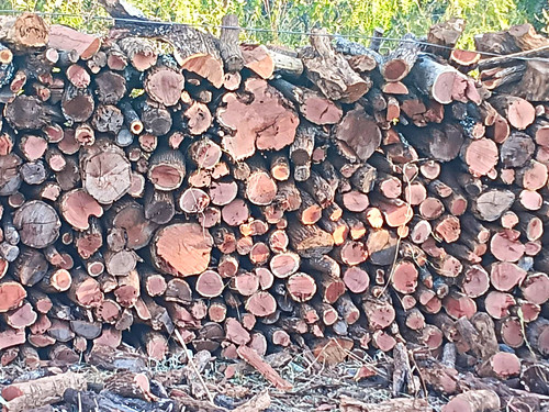 Split firewood logs wood - -,