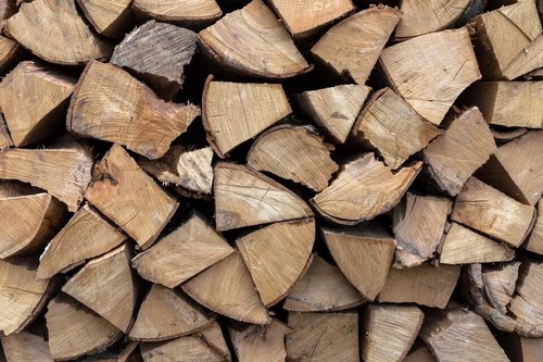 Mixed hardwood logs - hardwood,