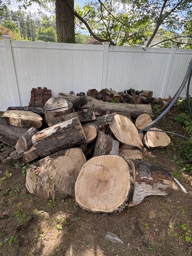 Large hardwood firewood logs - firewood,