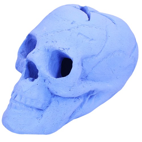 Barton ceramic imitated skull - barton,